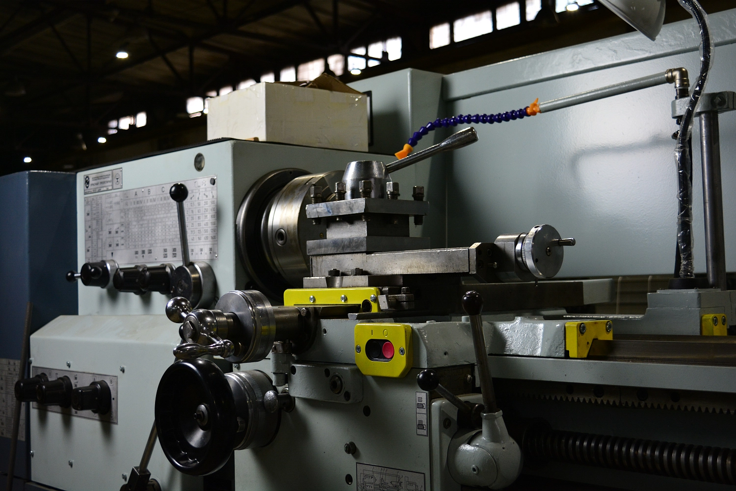 Наши новые друзья